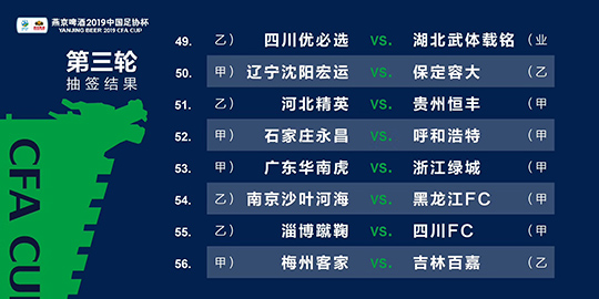 2024澳门精准四不像,详细解读落实方案_社交版5.263