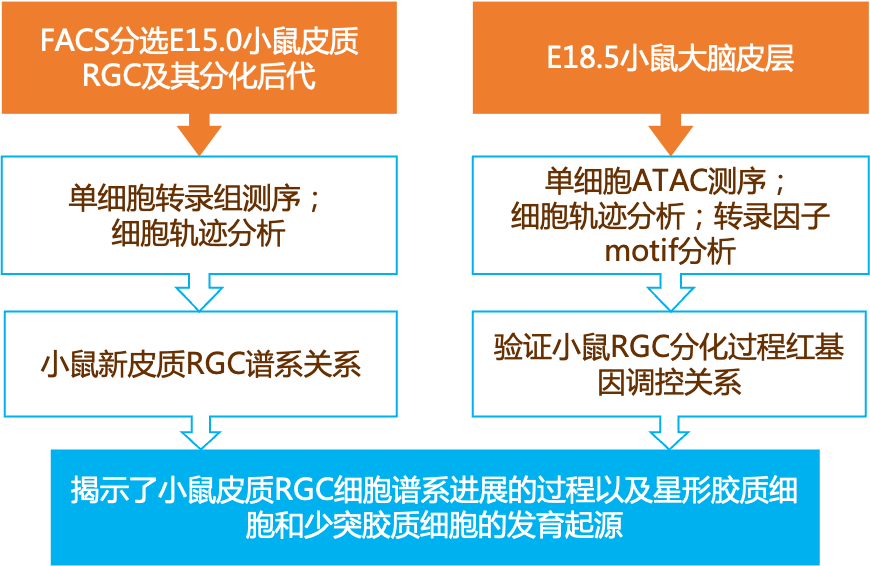 百科 第75页