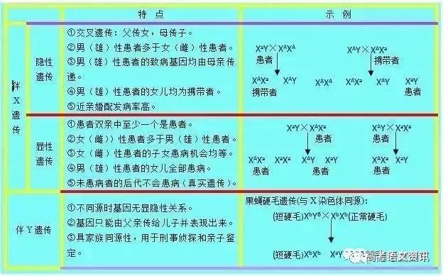 三肖三期必出特肖资料,符合性策略落实研究_入门版0.766