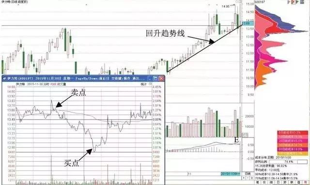 管家婆正版 今晚,重要性解释落实方法_标配版4.62