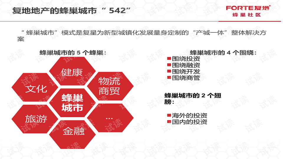 111153金光佛论坛高手,综合性计划落实评估_纪念版5.604