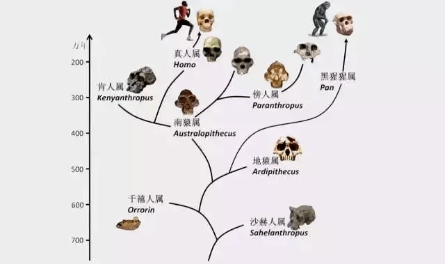 香港三期必开一期,动态调整策略执行_云端版9.917