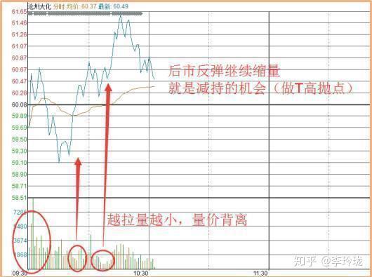 2024澳门管家婆资料大全,高度协调策略执行_升级版2.389