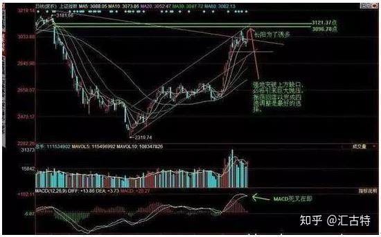 2024年正版资料免费大全,高度协调策略执行_标准版6.75