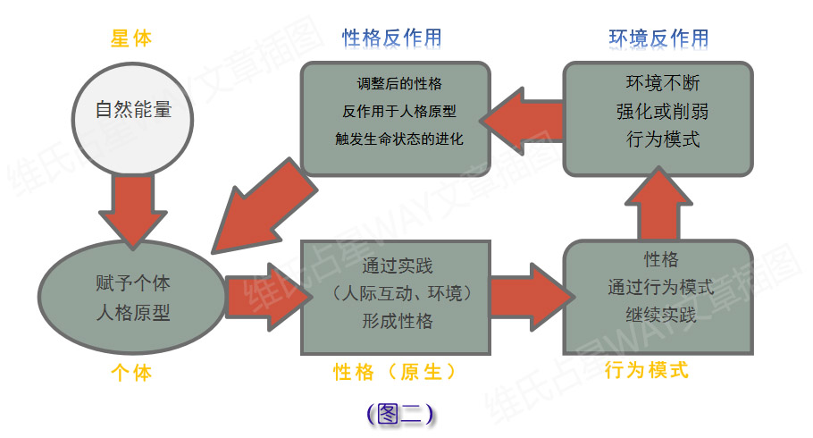 白小姐正版传密,完善的执行机制解析_完整版5.637