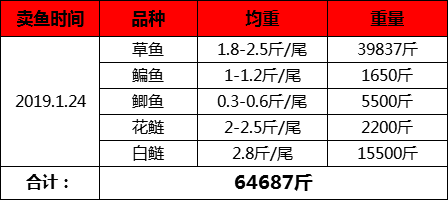 正版2024年波色表图,功能性操作方案制定_尊享版3.483