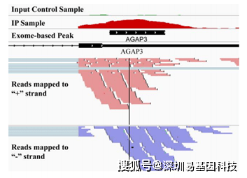 澳门一码一肖一持一,高效实施方法解析_经典版2.616