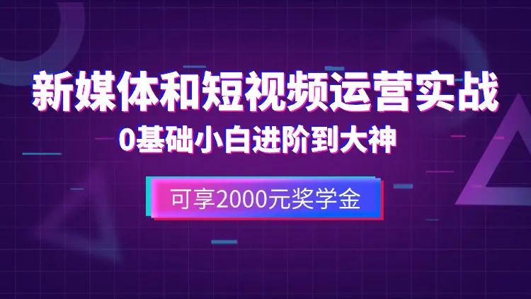 2024年澳门精准资料,深入解析落实策略_视频版5.36