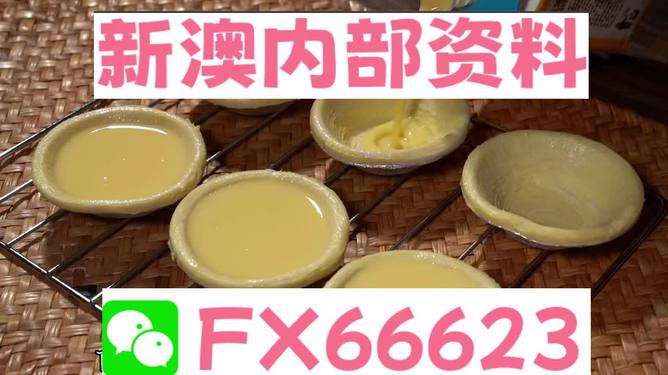 新澳精准资料免费提供网站有哪些,最新动态解答方案_专业版3.702