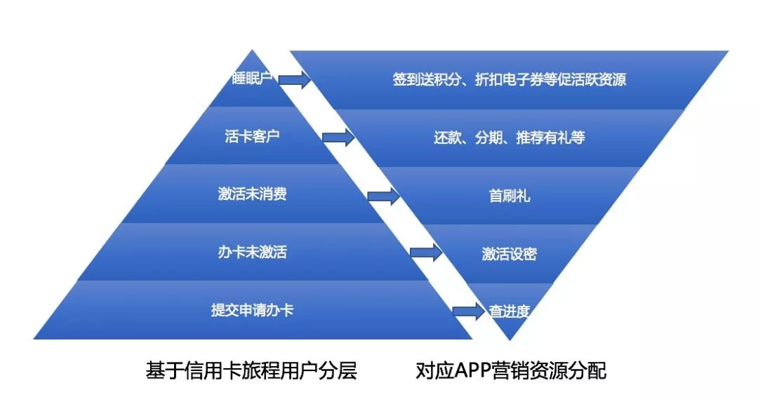 精准平特一肖 ,数据驱动执行方案_钻石版1.764