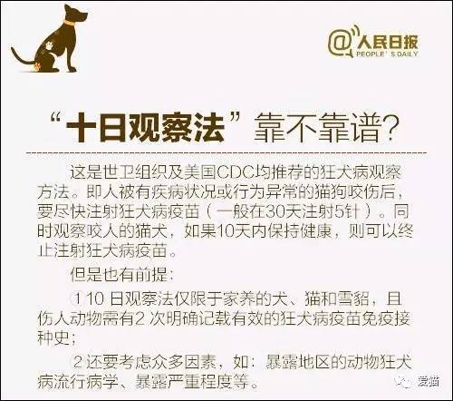 今期澳门跑狗图,准确资料解释落实_旗舰版8.091