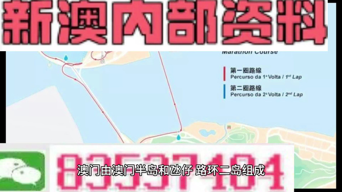 澳彩精准资料免费长期公开，动态词语解释落实_网页版14.36.55